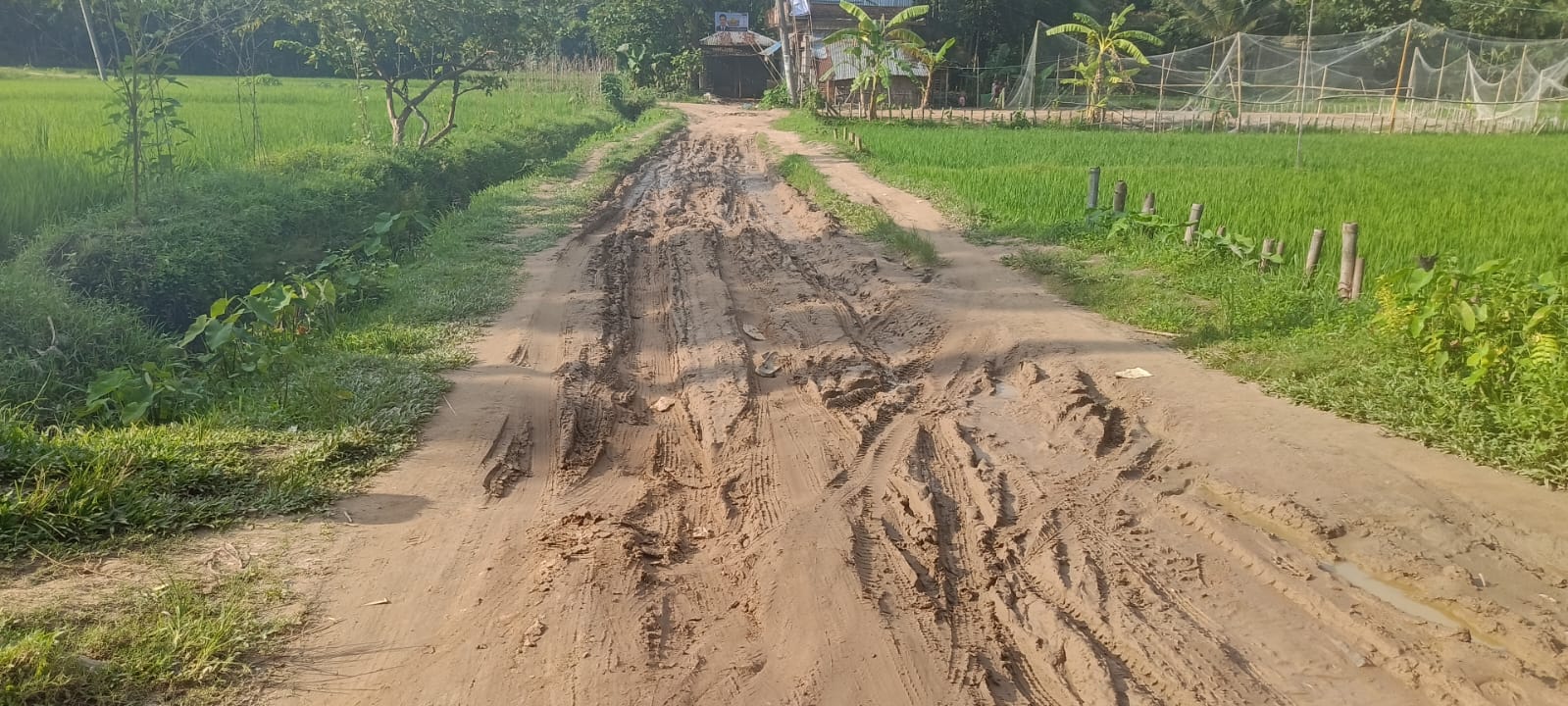 চার দশকেও বদলায়নি কাউখালির ডাবন্যা সড়কের চিত্রঃ জনমনে নানান প্রশ্ন