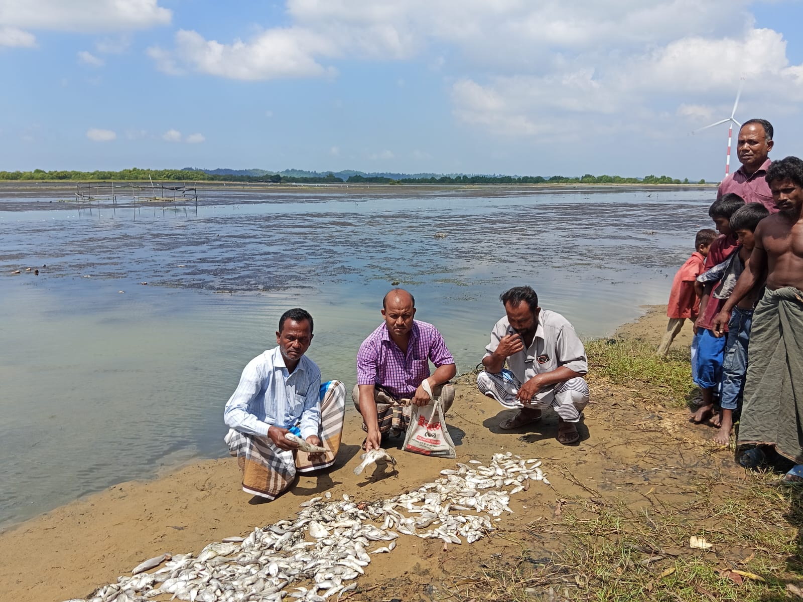 ভেসে উঠেছে কোটি টাকার মাছ,সর্বস্বান্ত ৮ চাষি
