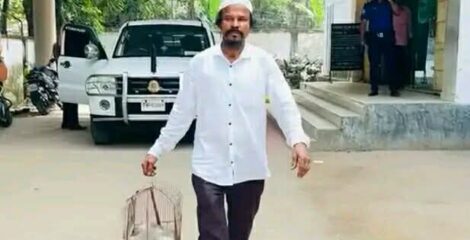 চকরিয়ায় পোষা বিড়াল হত্যার বিচার চেয়ে থানায় অভিযোগ
