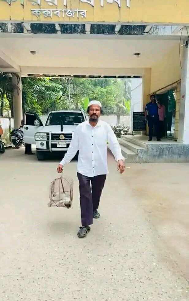 চকরিয়ায় পোষা বিড়াল হত্যার বিচার চেয়ে থানায় অভিযোগ